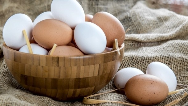 Free range eggs